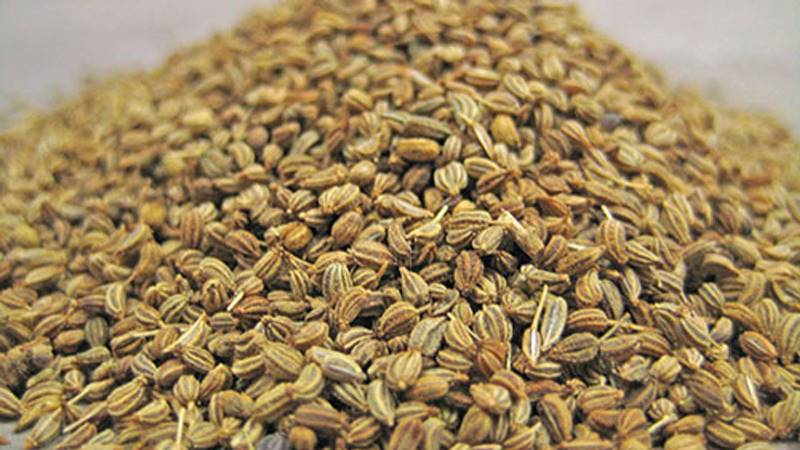 Ajwain Seed