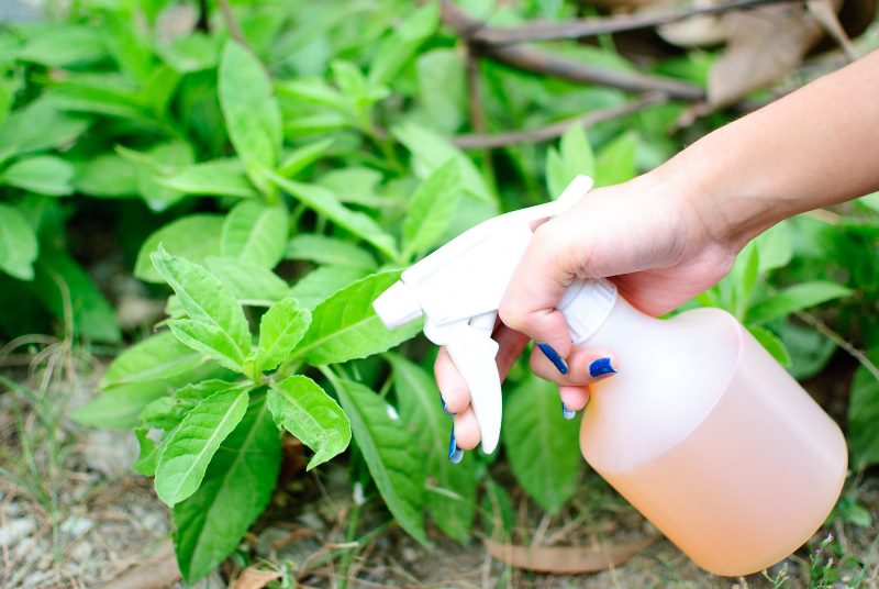 Organic Spray