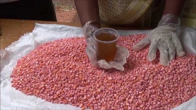 Seed treatment