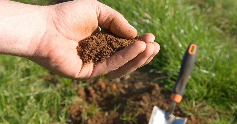 soil
