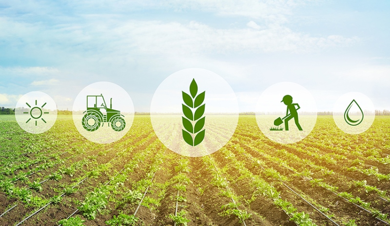 Agriculture budget
