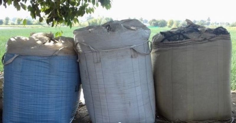 Silage for Dairy