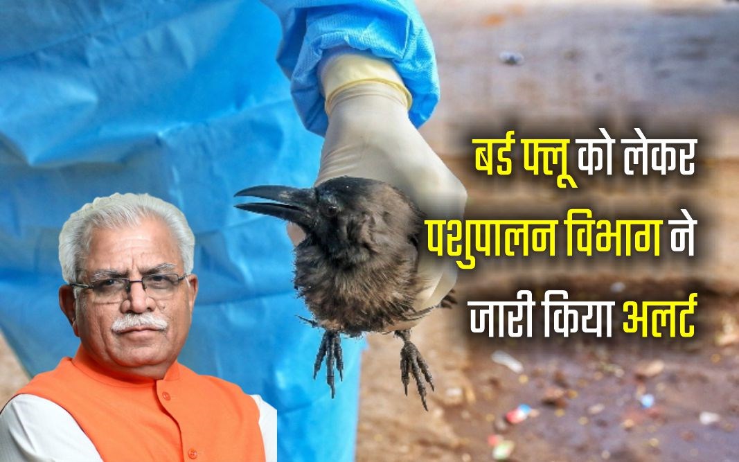 Bird flu हरियाणा के बर्ड फ्लू प्रभावित जिलों में स्वास्थ्य मंत्रालय ने