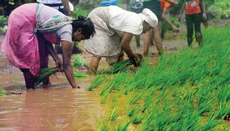 PM Kisan Yojana