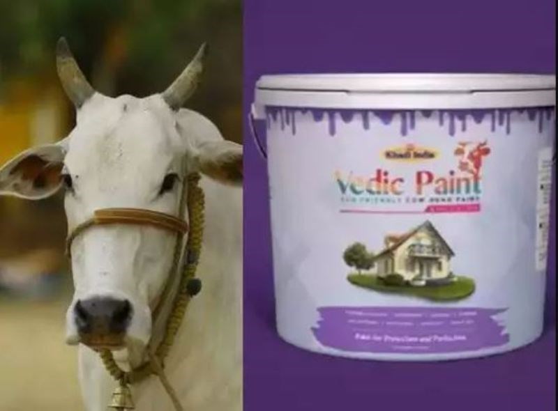 Cow Dung Paint