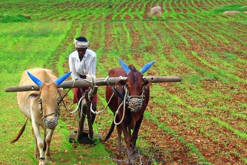 Agriculture News