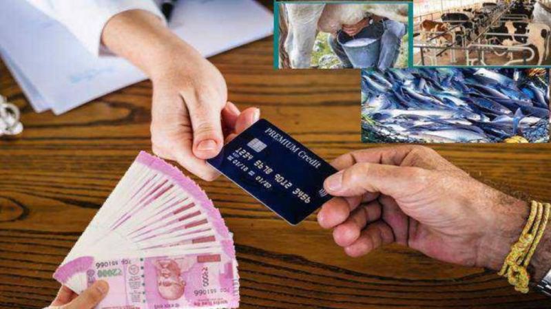 Pashu Kisan Credit Card Scheme