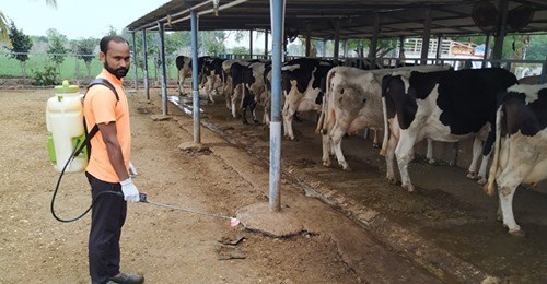 Animal Husbandry