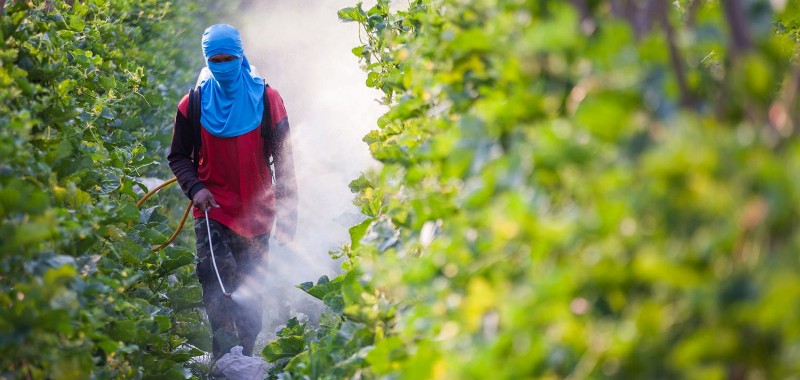 Pesticide