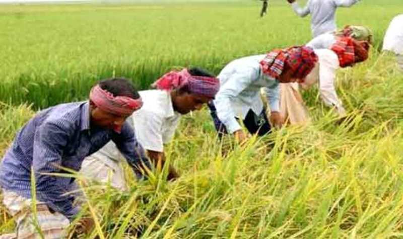 PM Kisan Yojana