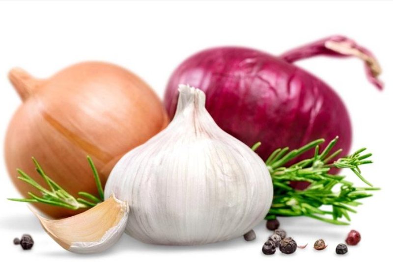 Garlic