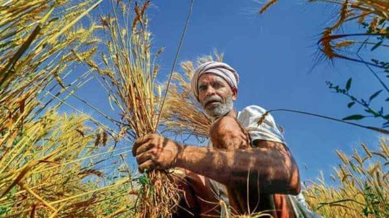 PM Kisan Yojana
