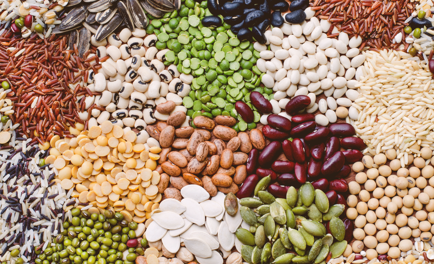 seed