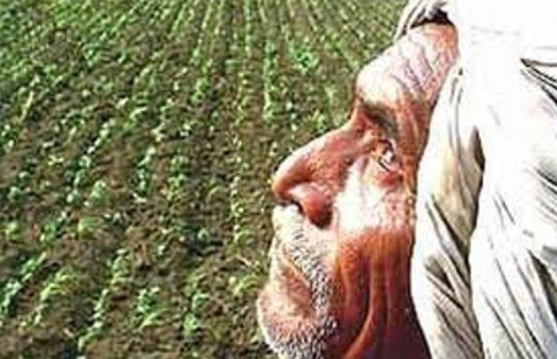 Farmer