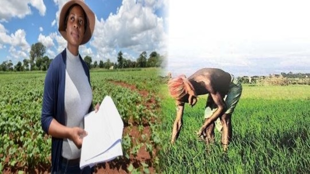 India USA Farmer
