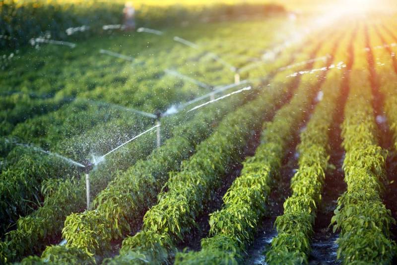 Micro Irrigation Scheme