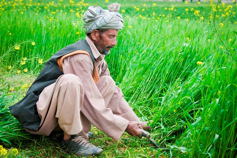 PM Kisan Sampada Yojana