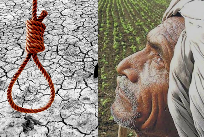 Farmer Suicide