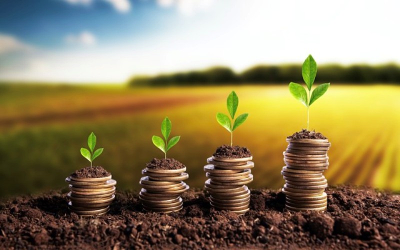Top 5 Agriculture Business Ideas