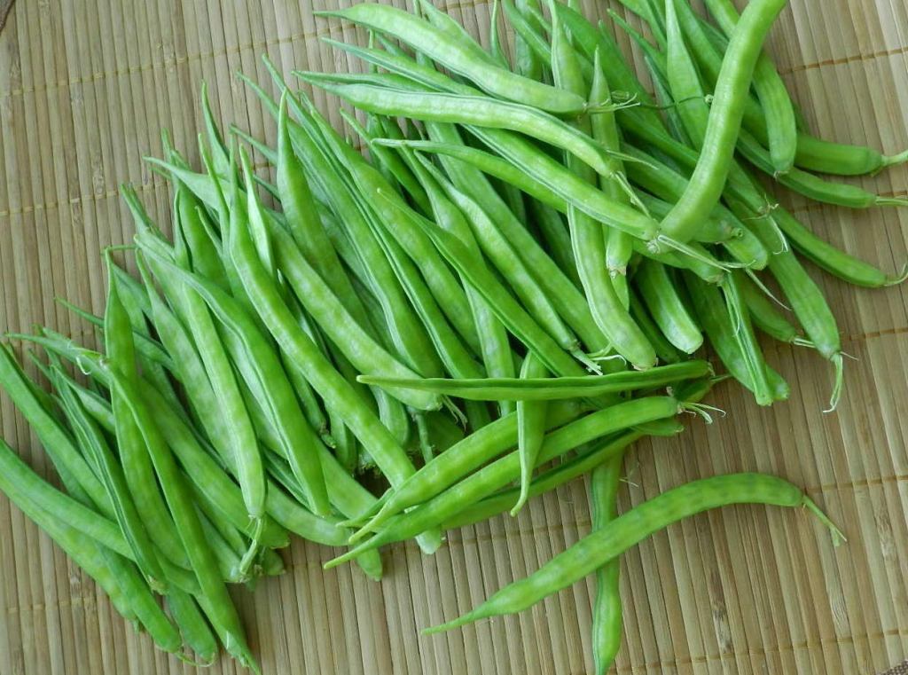 Clusterbean