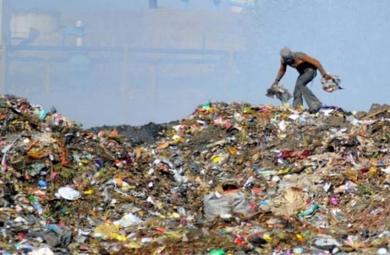 Waste Manure