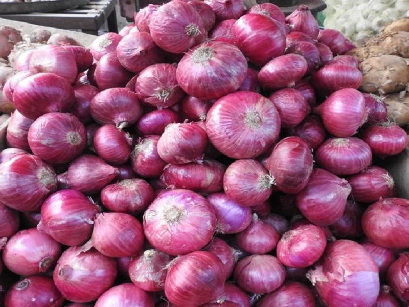 onion price