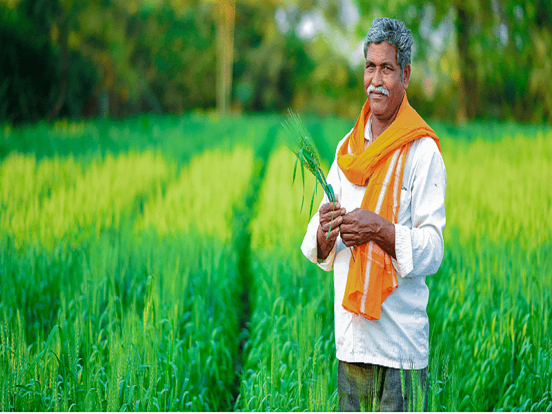 indian farmer