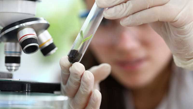 Soil Testing Center