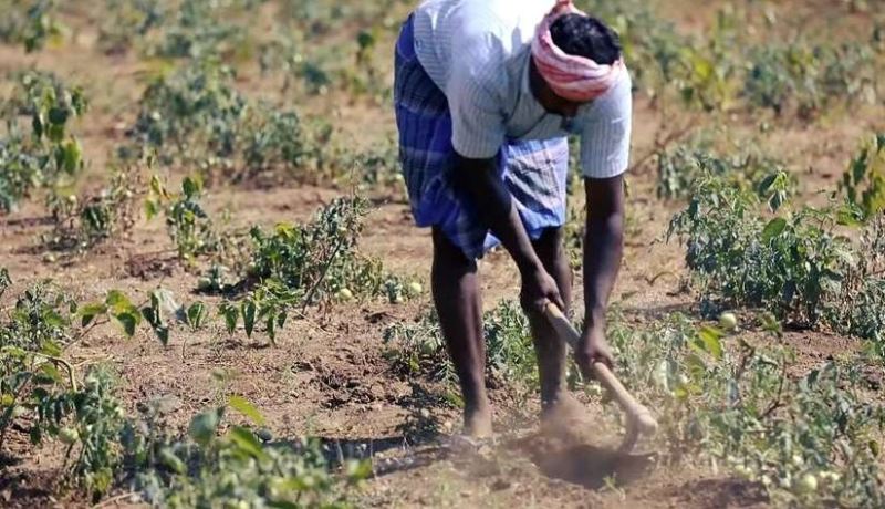 Farmers Will Do Farming