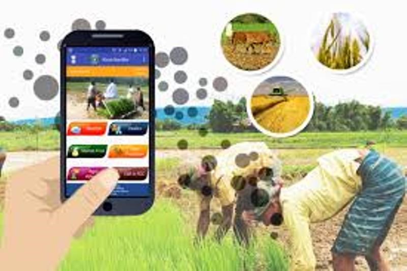 Agriculture