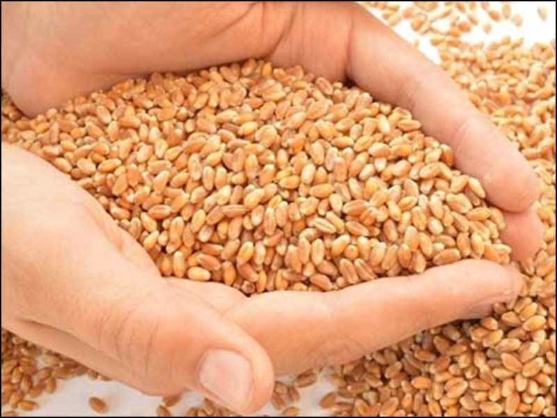 Agriculture News
