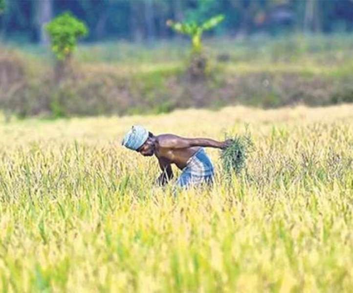 PM Fasal Bima Yojana