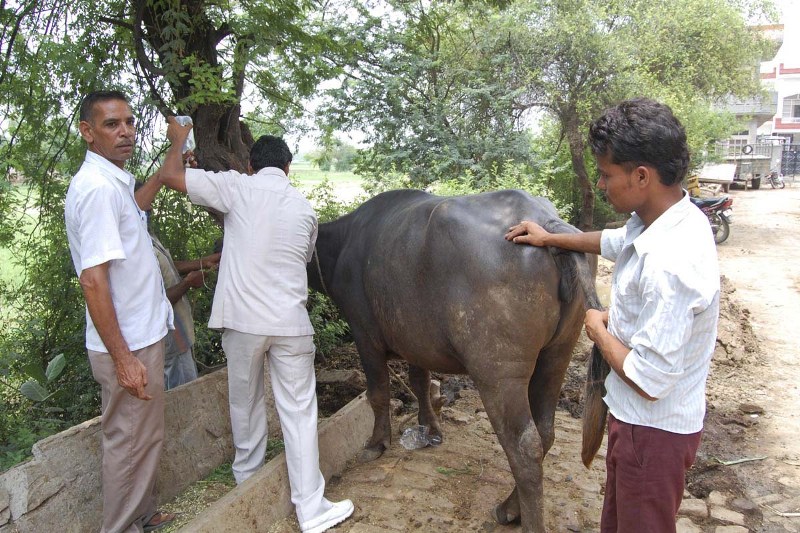 कृषी बातम्या
