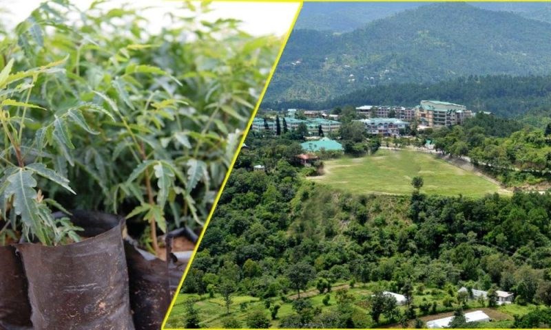 Agriculture News
