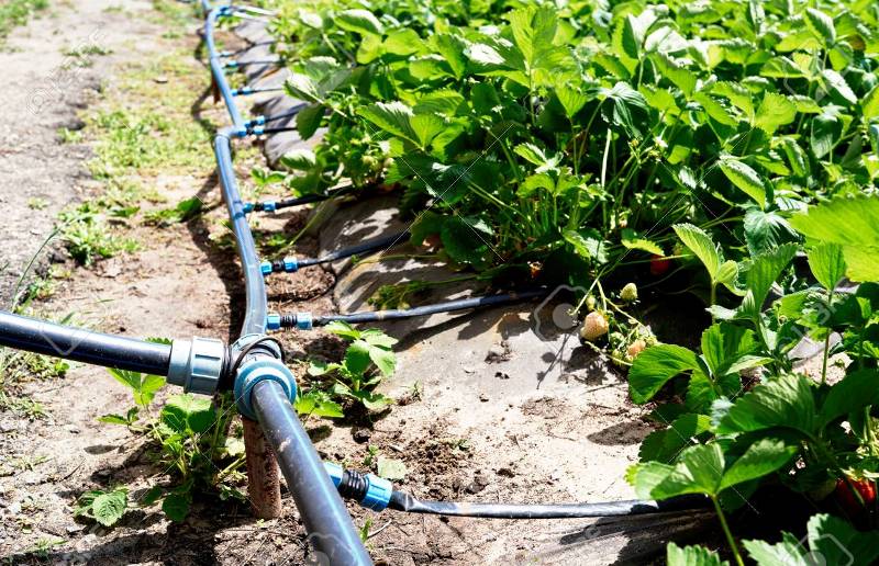 drip-irrigation-working-model-for-science-project-agriculture-model