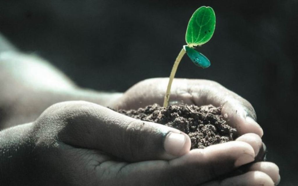 Soil Health Card