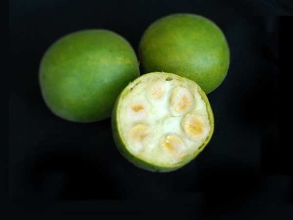 Monkfruitblack
