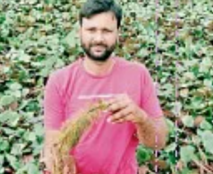 Makhana Ki kheti