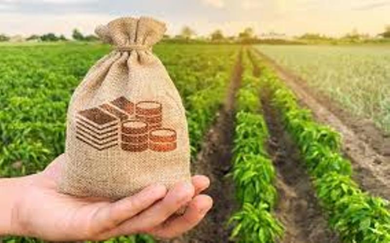 Agriculture News: Commercial production of nano urea started