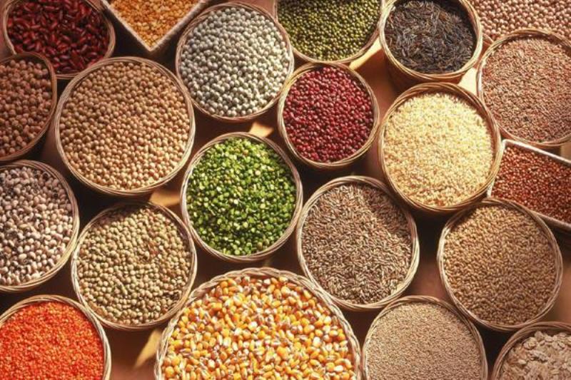 Agriculture News