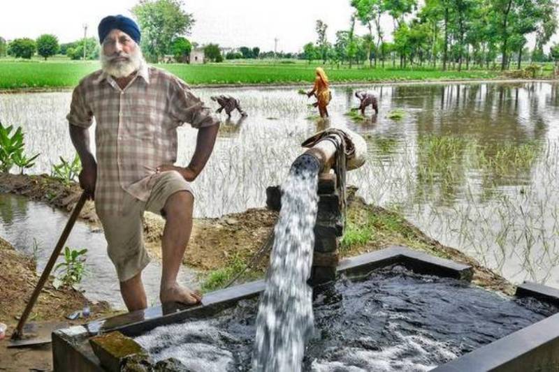 Agriculture News