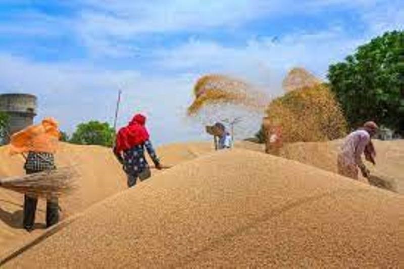 Agriculture News