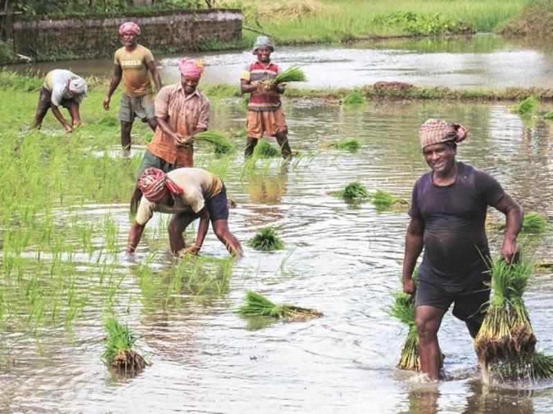 Agriulture News