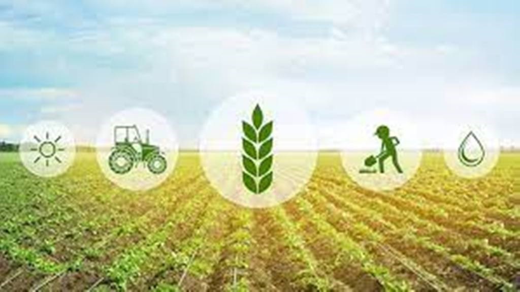 Agriculture News