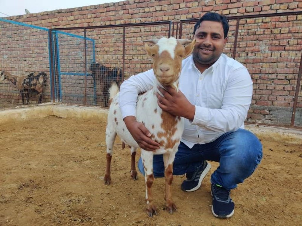 Goat Farming