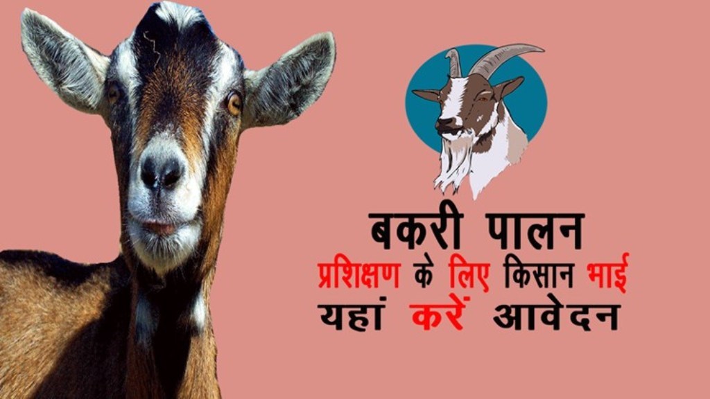 Goat Farming