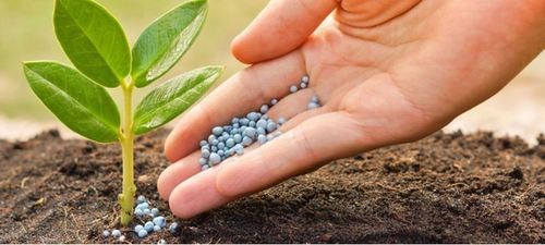 fertilizer