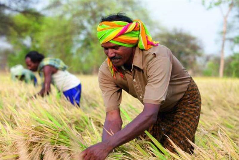 PM Fasal Bima Yojana