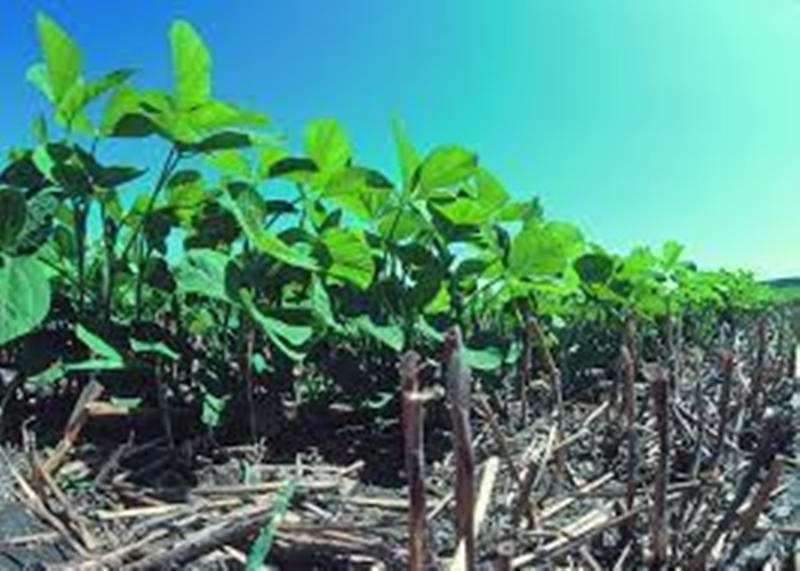 Agriculture News