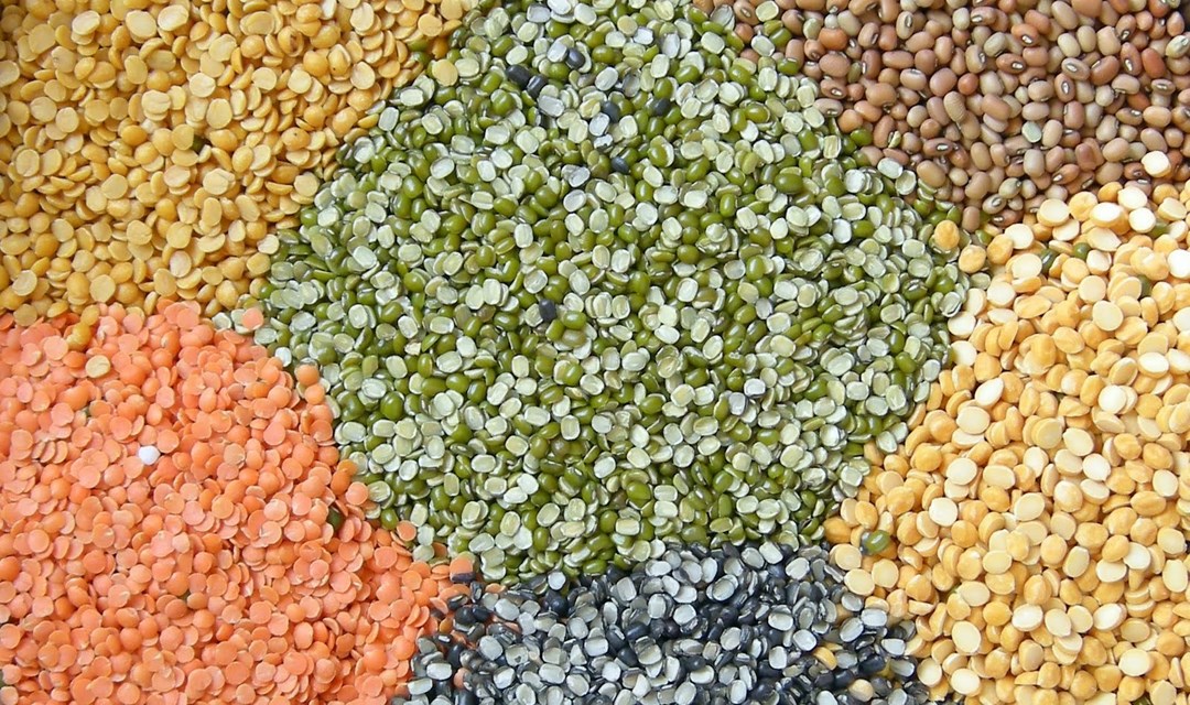Stock limit prescribed for sellers, millers and importers of pulses